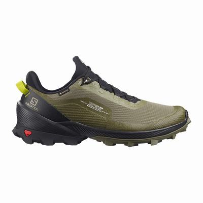 Pánské Turistické Boty Salomon CROSS OVER GORE-TEX Tmavě Zelene/Černé Výprodej SA08421-971